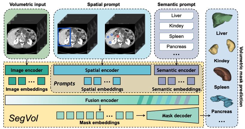 Medical Multimodal Segmentation Using Foundation Models